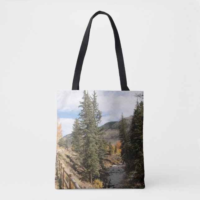 Creek in Aspen, Colorado (Vorderseite)