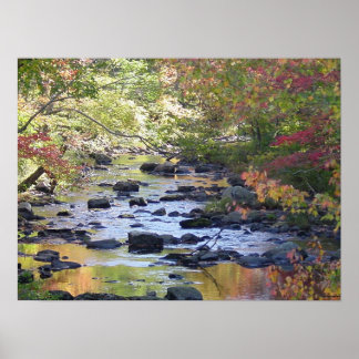 Creek in Connecticut Poster