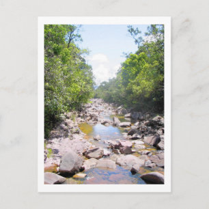 Creek in Venezuela Jungle Landschaft Postkarte