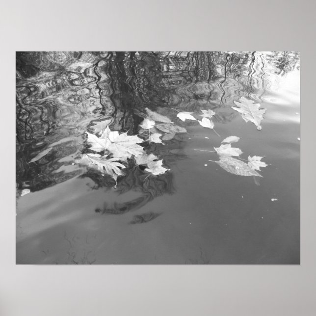 Creek Poster (Vorne)