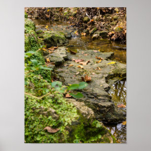 Creek-Rock-Bed für die Nordwochen Poster
