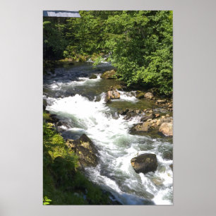 Creek Street-Stromschnellen - Ketchikan, Alaska Poster