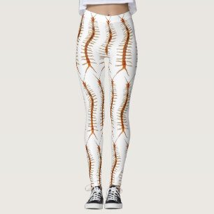 Creepy Centipede Leggings