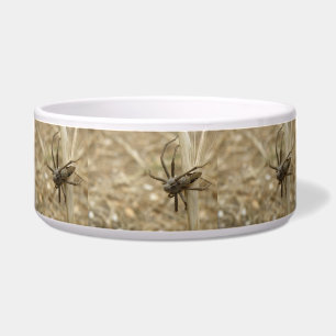Creepy Crawly Spider Bowl Napf