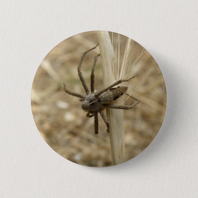 Creepy Crawly Spider Button (Vorderseite)