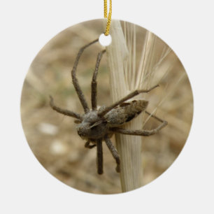 Creepy Crawly Spider Custom Birthday Keramikornament