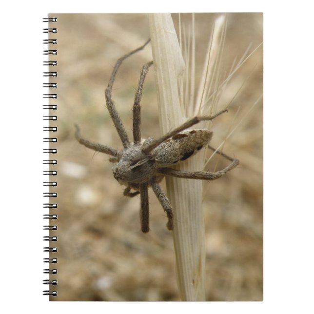 Creepy Crawly Spider Notebook Notizblock (Vorderseite)