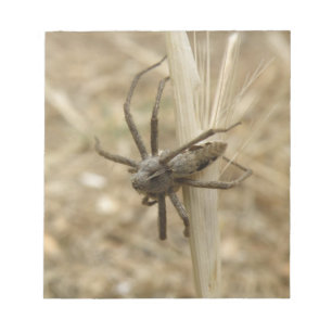 Creepy Crawly Spider Notepad Notizblock