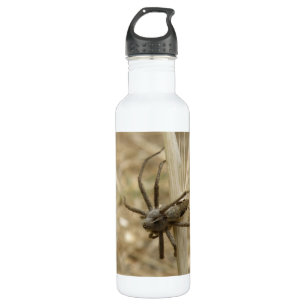 Creepy Crawly Spider Trinkflasche