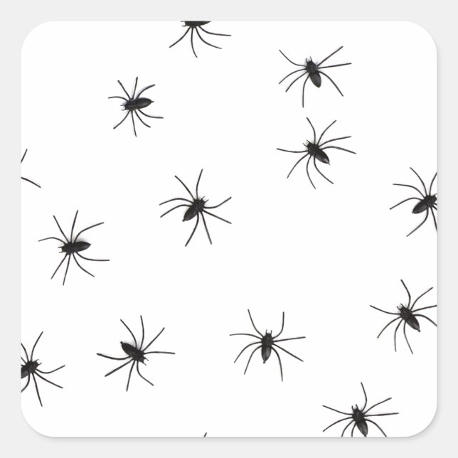 Creepy Crawly Spiders Quadratischer Aufkleber (Vorderseite)