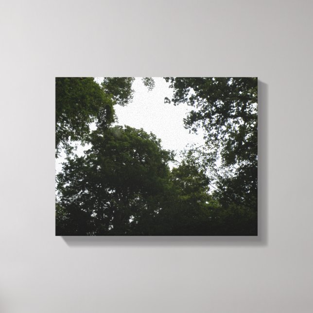 Creepy Forest Canvas Print Leinwanddruck (Vorderseite)
