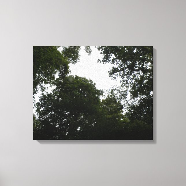 Creepy Forest Canvas Print Leinwanddruck (Vorderseite)