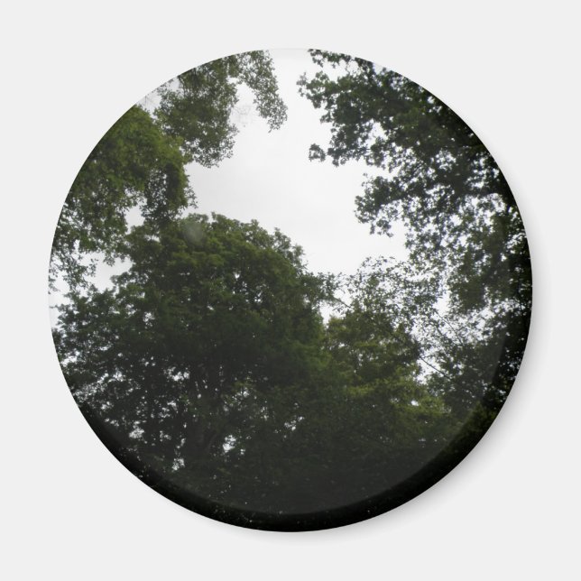 Creepy Forest Magnet (Vorne)