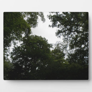 Creepy Forest Plaque Fotoplatte