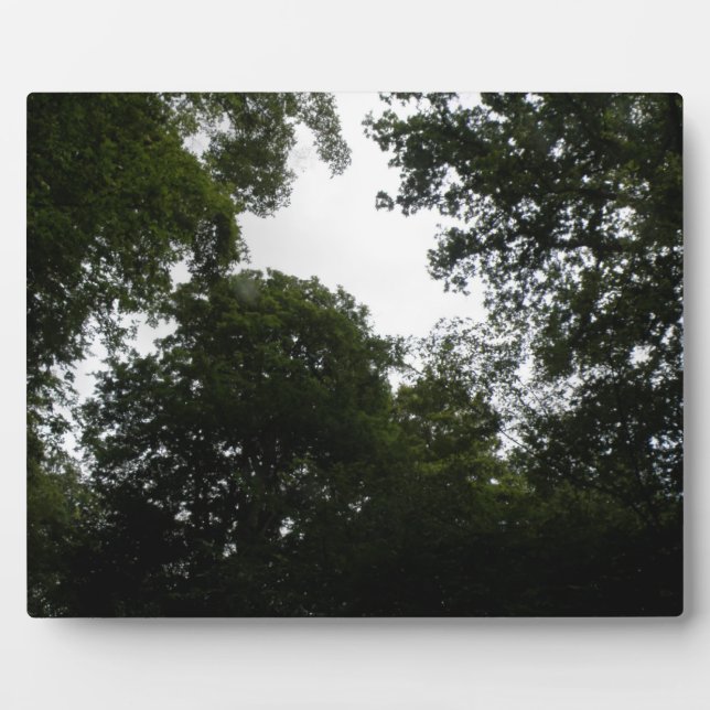 Creepy Forest Plaque Fotoplatte (Vorderseite)