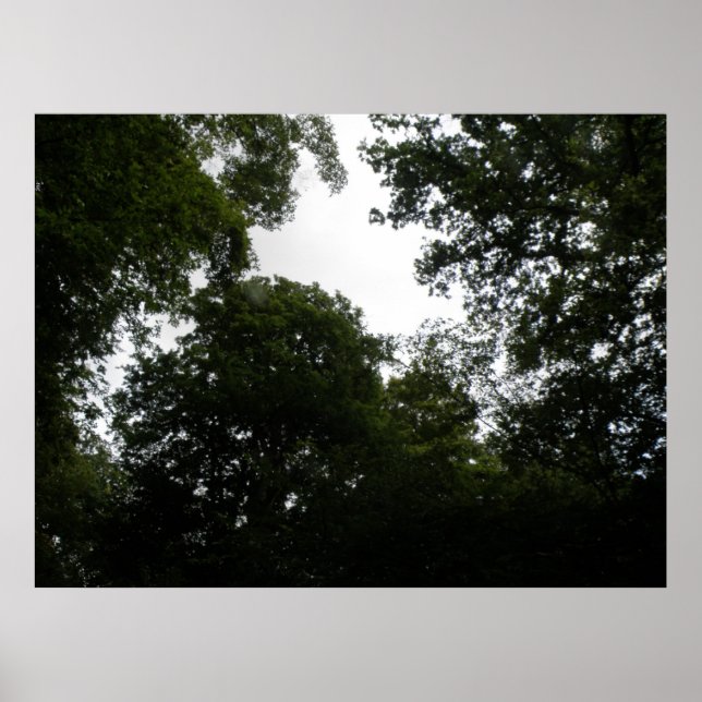 Creepy Forest Print Poster (Vorne)