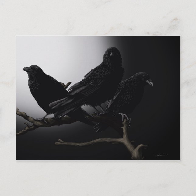 Creepy Ravens im Mondlicht Postkarte (Vorderseite)