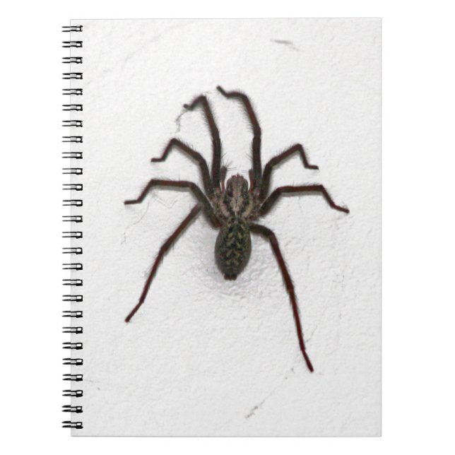 Creepy Spider Notizblock (Vorderseite)