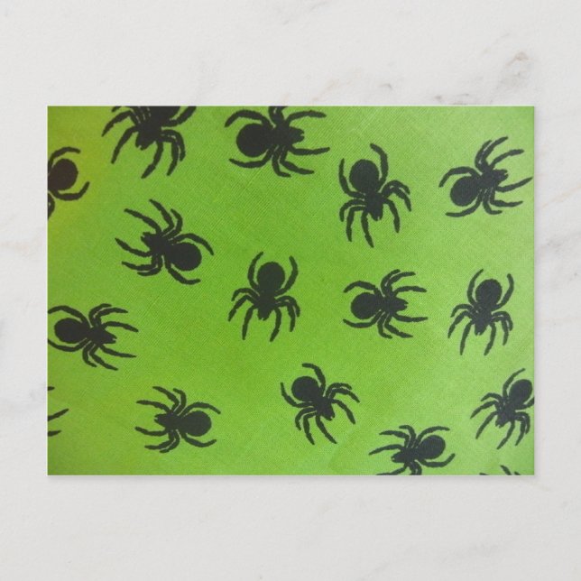 Creepy Spiders Postkarte (Vorderseite)