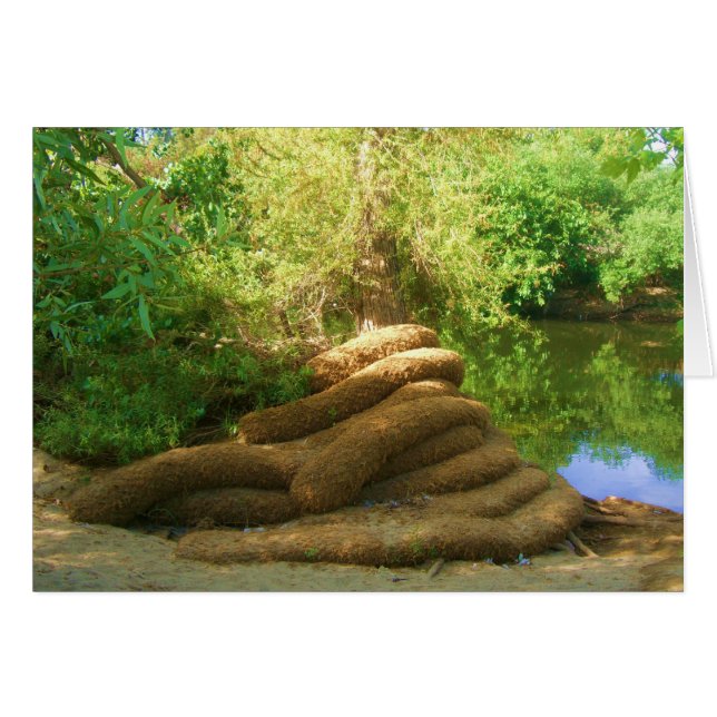 Creepy Tree Trunk (Vorderseite (Horizontal))