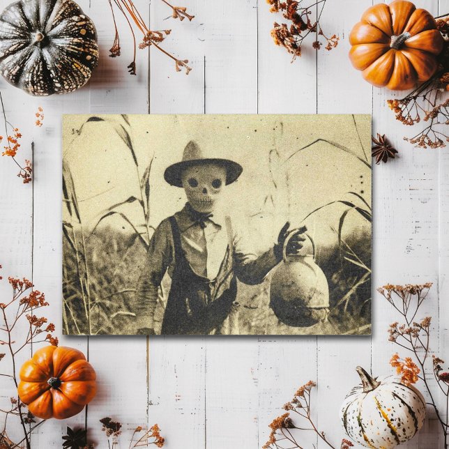 Creepy Vintag Skeleton im Maisfeld Postkarte (Von Creator hochgeladen)
