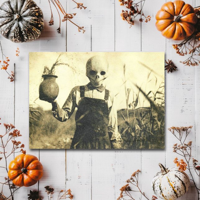Creepy Vintag Skeleton im Maisfeld Postkarte (Von Creator hochgeladen)