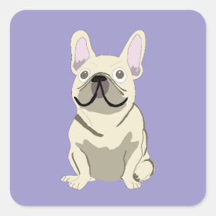 Creme-Französische Bulldogge,  Quadratischer Aufkleber