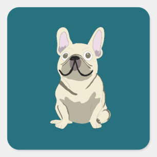 Creme-Französische Bulldogge Quadratischer Aufkleber