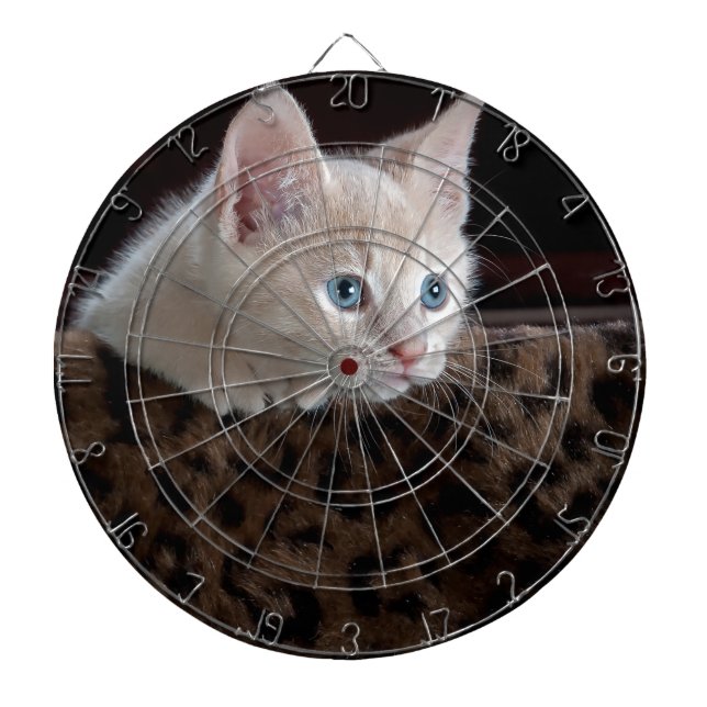 Creme Kitten mit schönen blauen Augen Dartscheibe (vorne)
