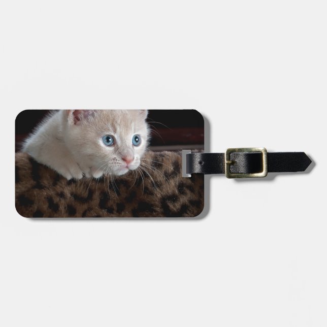 Creme Kitten mit schönen blauen Augen Gepäckanhänger (Vorderseite horizontal)