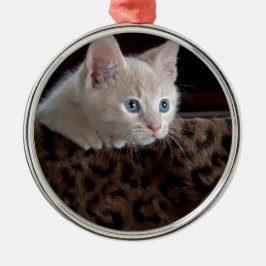 Creme Kitten mit schönen blauen Augen Ornament Aus Metall