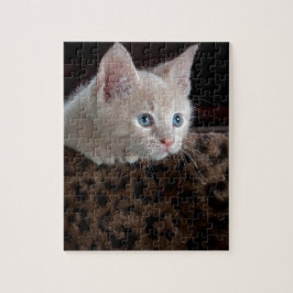 Creme Kitten mit schönen blauen Augen Puzzle