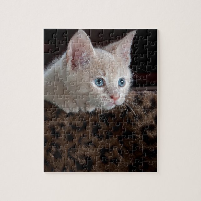 Creme Kitten mit schönen blauen Augen Puzzle (Vertikal)