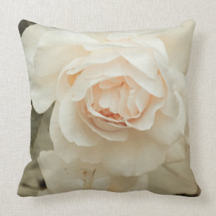 Creme mit einer Touch der rosa, romantischen Rose Kissen