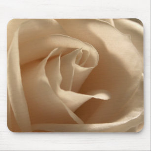 Creme Rose Foto Hübsch Blütenblätter Blume Blüten Mousepad