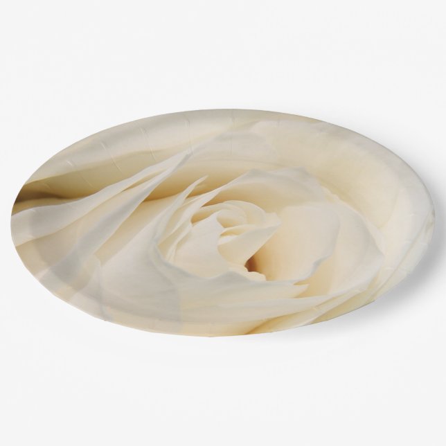Creme Rose Paper Teller (Schrägansicht)