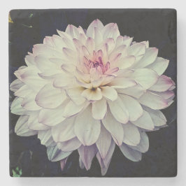 Creme und rosa Blume Steinuntersetzer