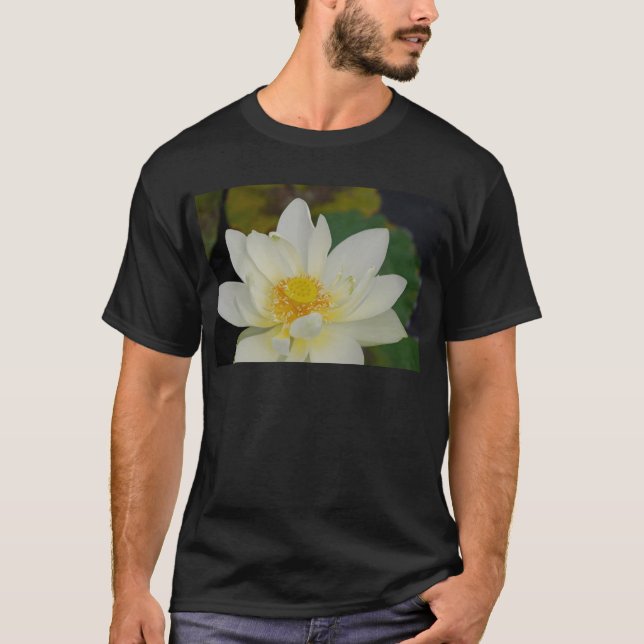 Creme Water Lily02.JPG T-Shirt (Vorderseite)