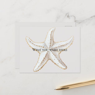 Creme White Gold Starfish Beach Postkarte