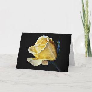 Creme Yellow Rose Blume Art Note Card Karte