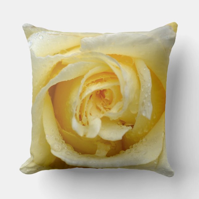 Cremefarbene Rose Kissen (Vorderseite)