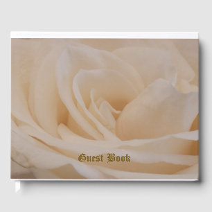 Cremefarbene Rose schließen Gästebuch