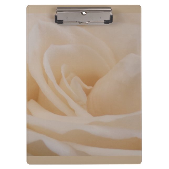 Cremefarbene Rose schließen Klemmbrett (Vorderseite)