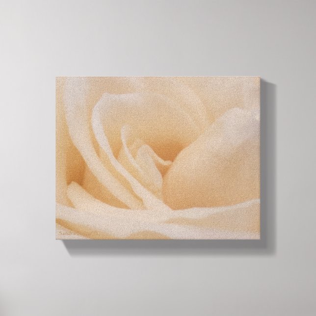 Cremefarbene Rose schließen Leinwanddruck (Vorderseite)