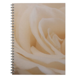 Cremefarbene Rose schließen Notizblock