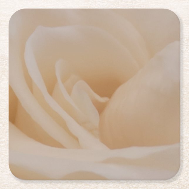 Cremefarbene Rose schließen Rechteckiger Pappuntersetzer (Vorderseite)