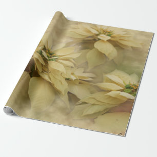 Cremefarbene Weihnachtssterne Digitale Kunst Geschenkpapier