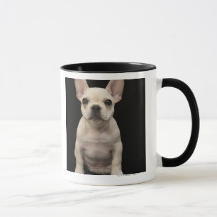 Cremefarbener Welpe der französischen Bulldogge Tasse