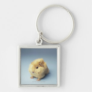Cremefarbenes Meerschweinchen Schlüsselanhänger