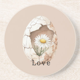Cremeweiße Gänseblümchen-Blumen-Ei Getränkeuntersetzer